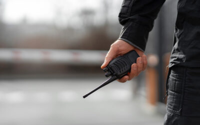 Sektor ochrony w Polsce: fundament bezpieczeństwa jutra